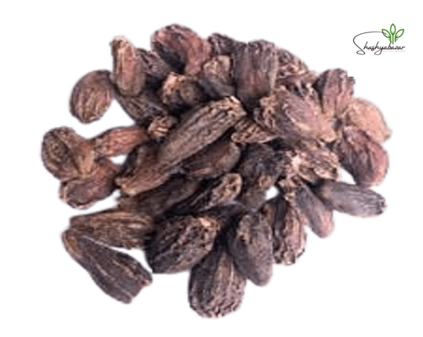 Cardamom Black (Elachi) এলাচ
